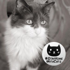 Meet your Posher, Lexy